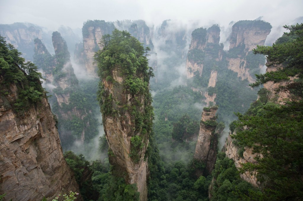 ZHANg