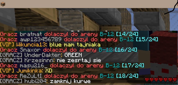 SKARGA 1 