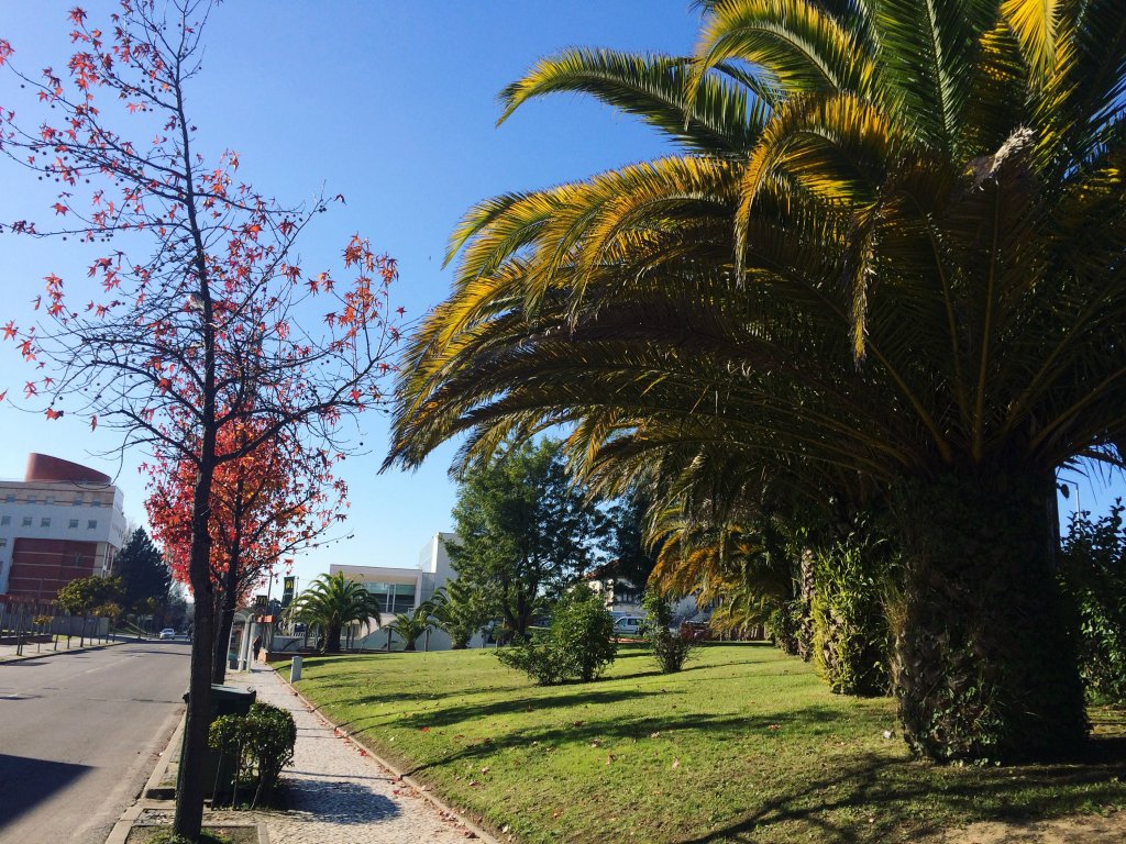 Autumn.