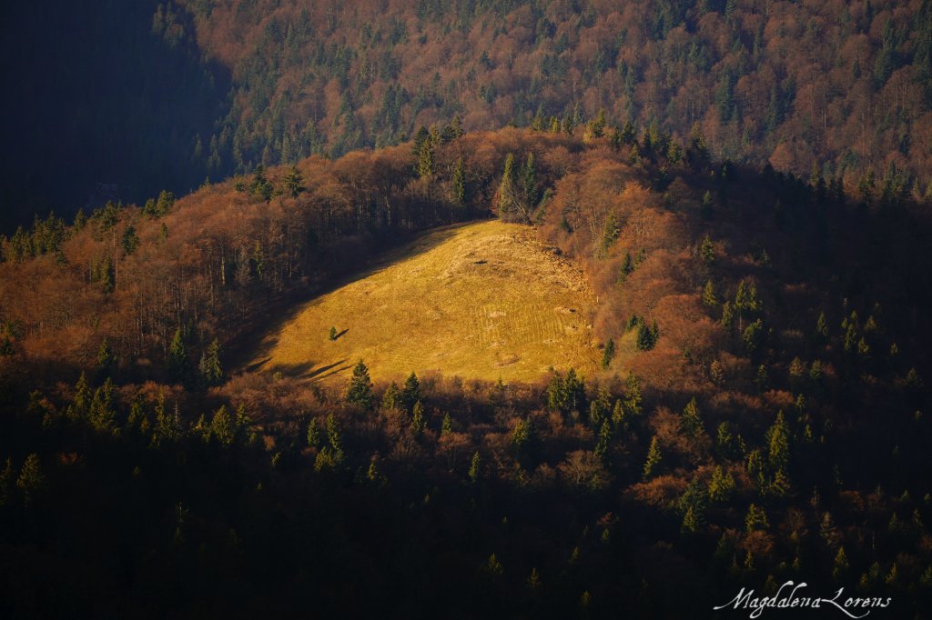 Ukryta polana