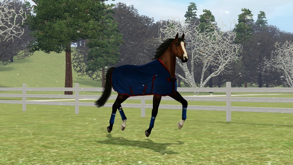 First snow in Lexsington Equestr