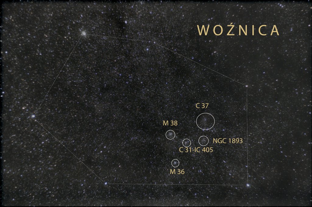 Gwiazdozbir Wonica