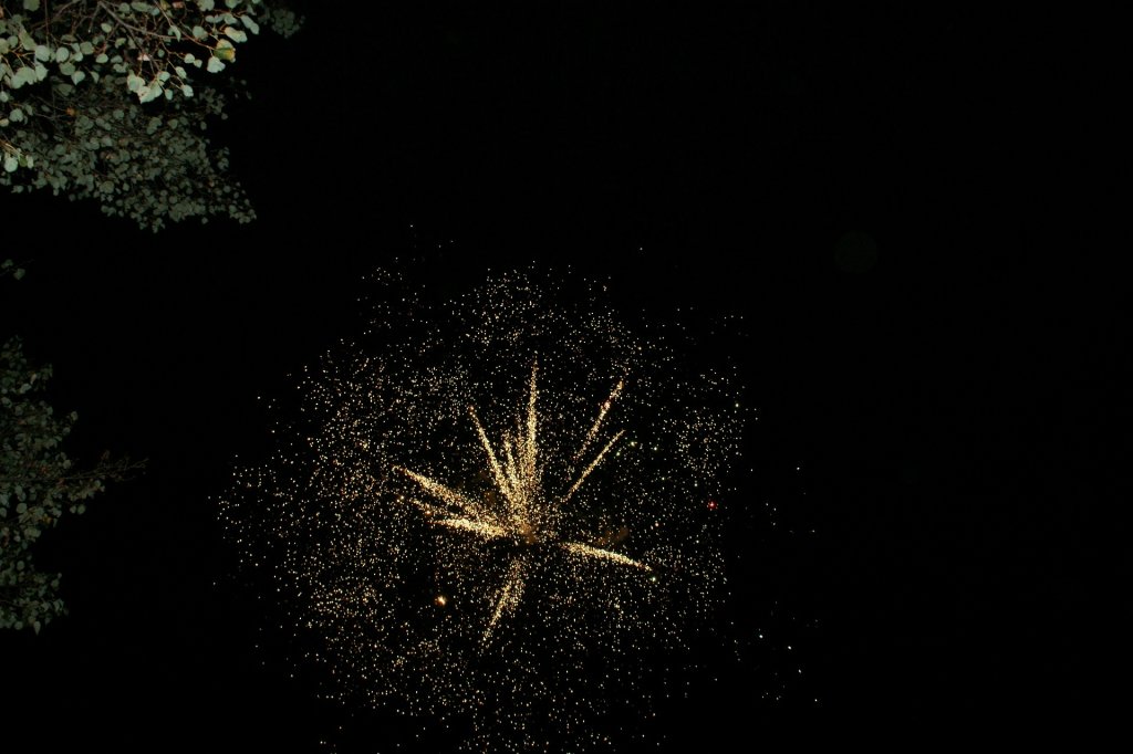 31 grudnia 2016.