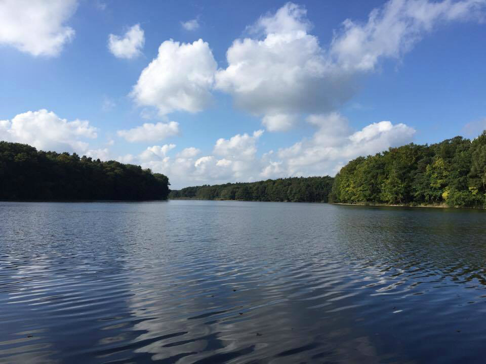 2016