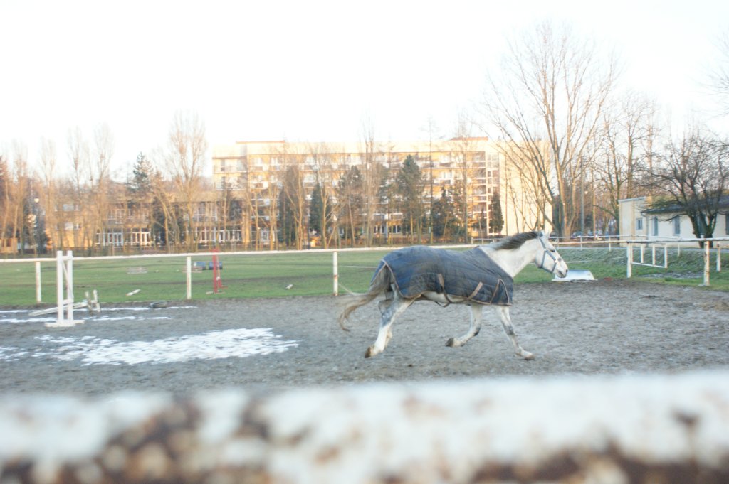 Galopujemy
