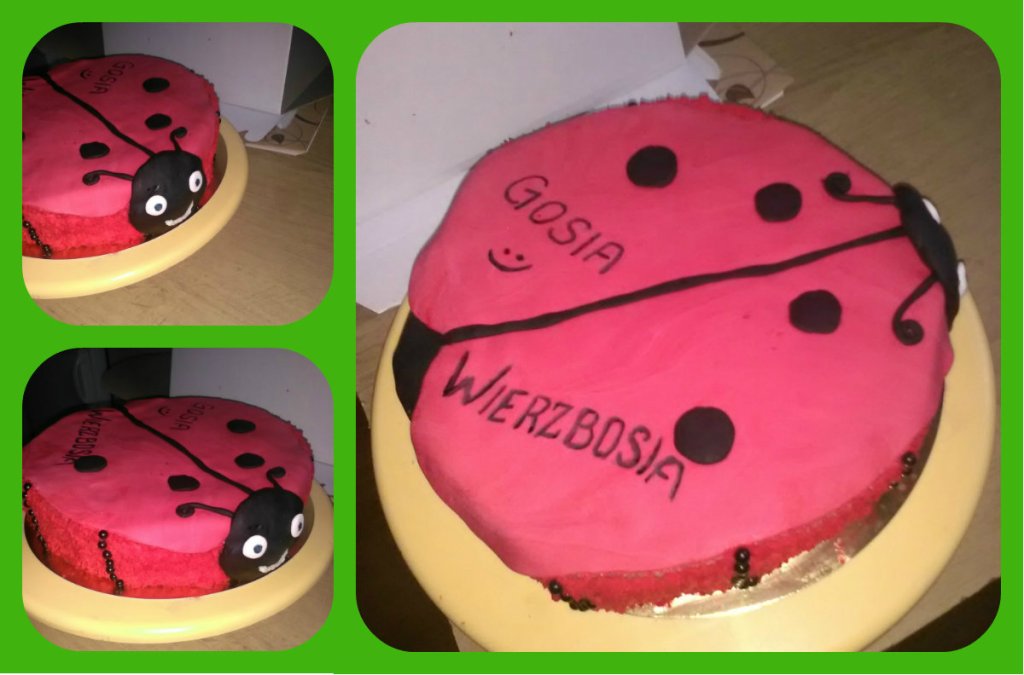 Tort biedronka