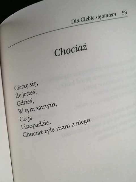 7 listopada 