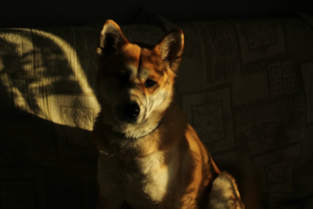 Kita.
