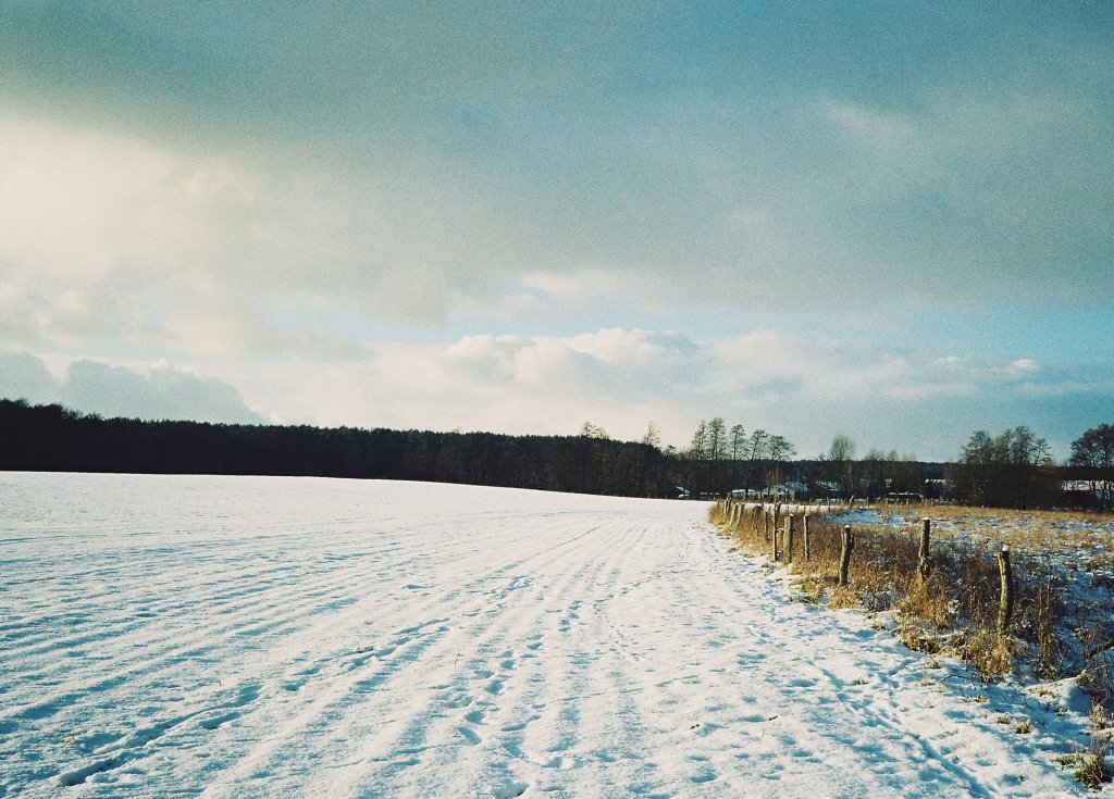 Zima