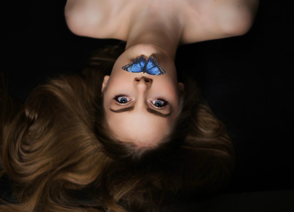 butterfly effect