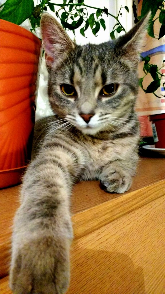 LiLi ^