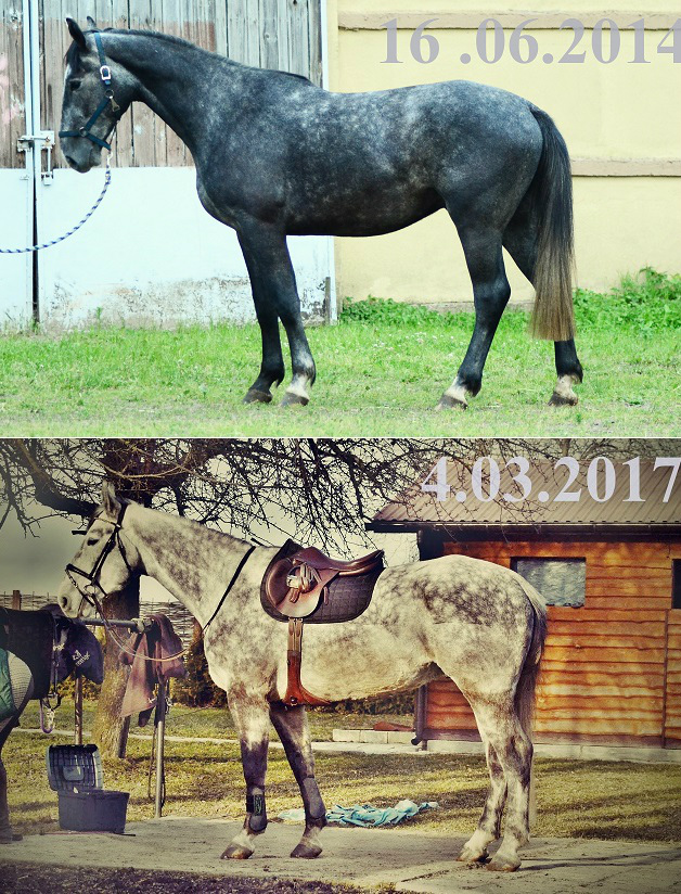 6 lat 