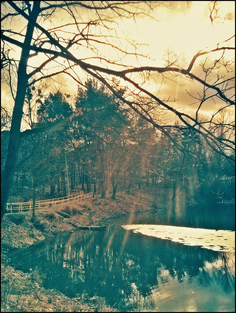 Staw w Katowicach-Ligocie