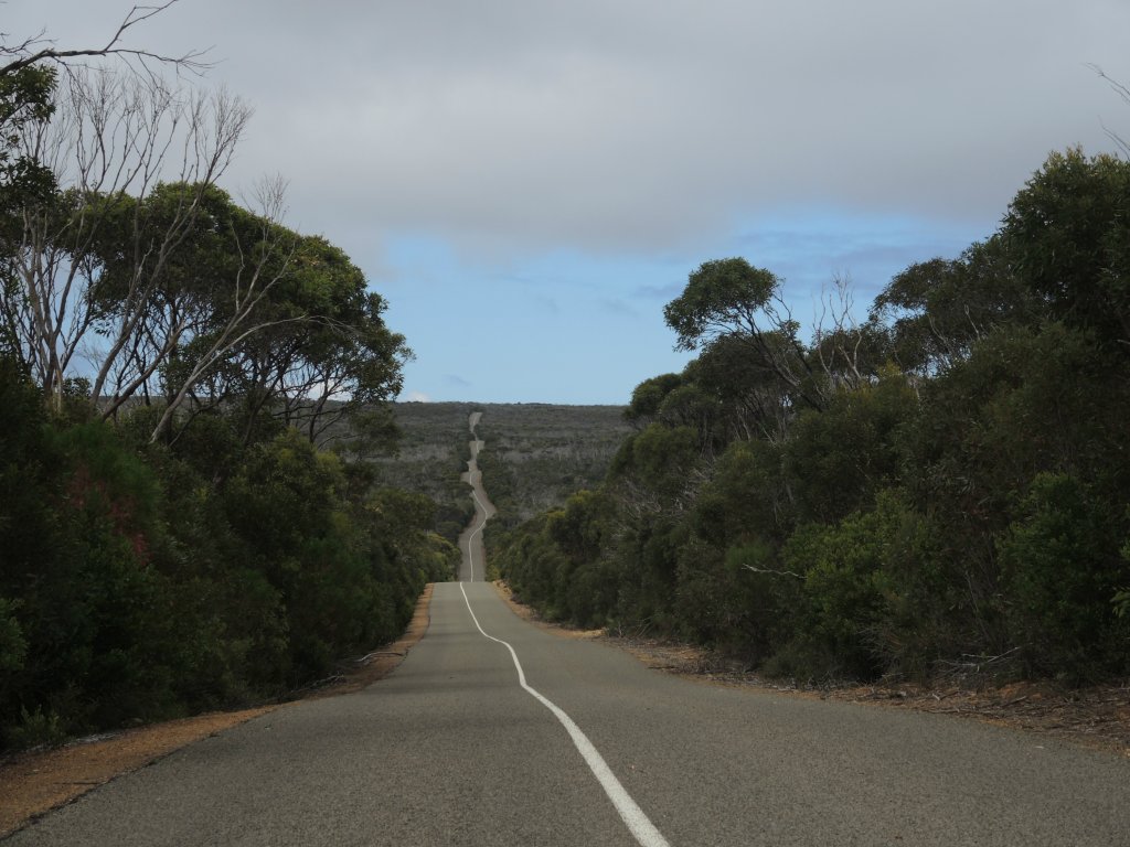 Australia / Wyspa Kangura