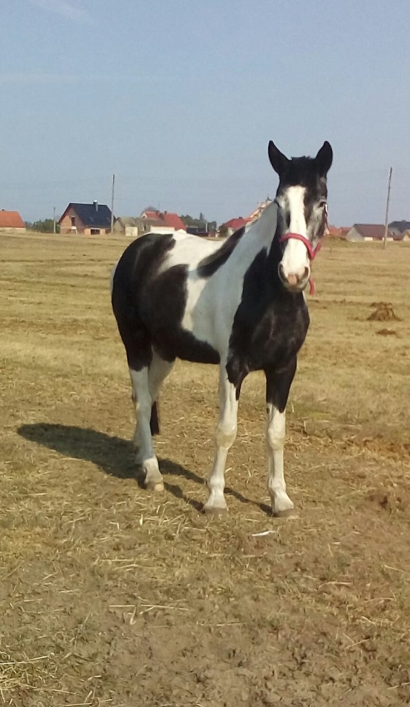Moja piekna :)