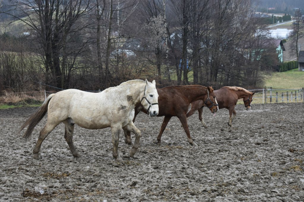 najlepsza druyna 