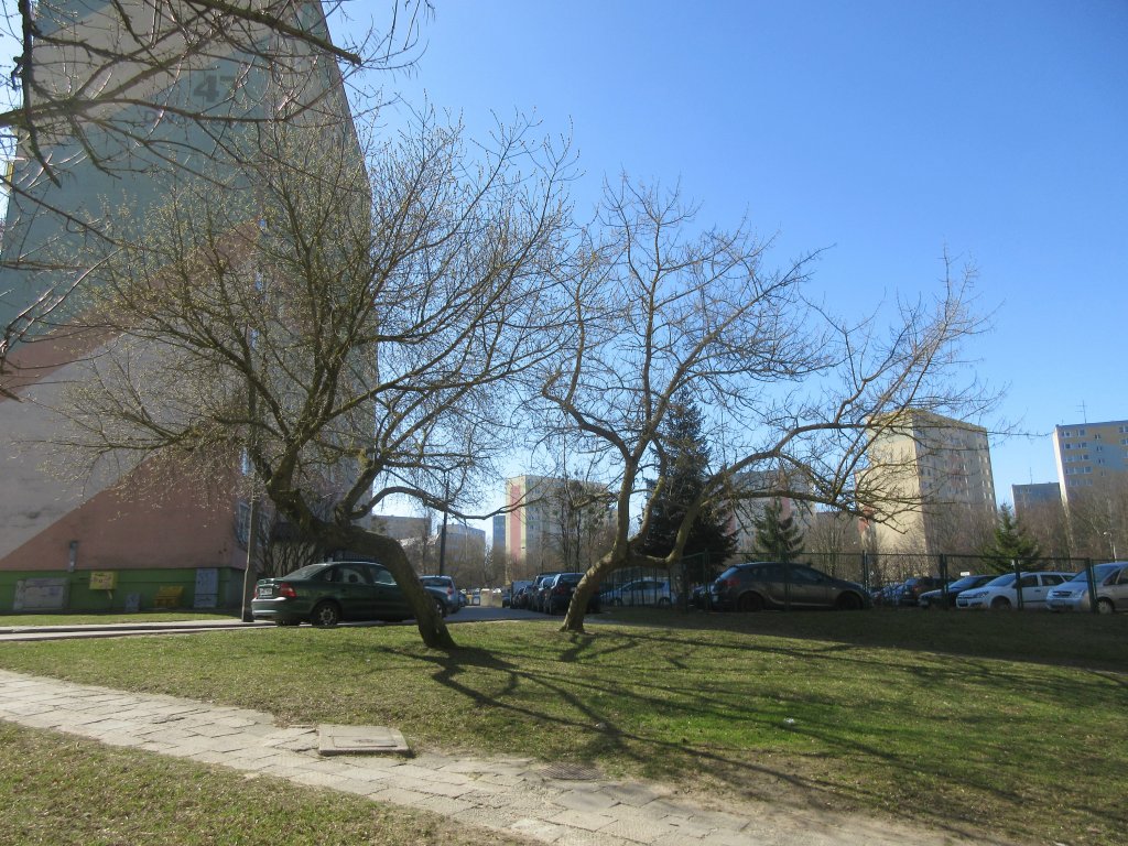 Czas na Olsztyn ...