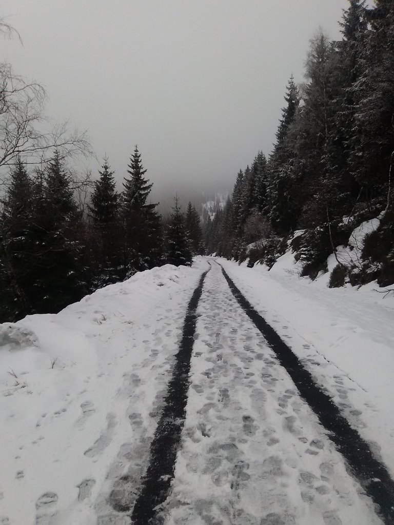 wieradw Zdrj 2017
