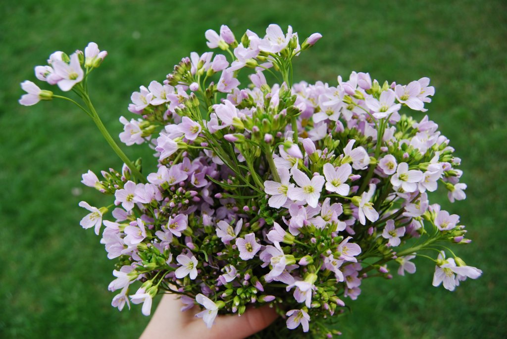 Spring is coming