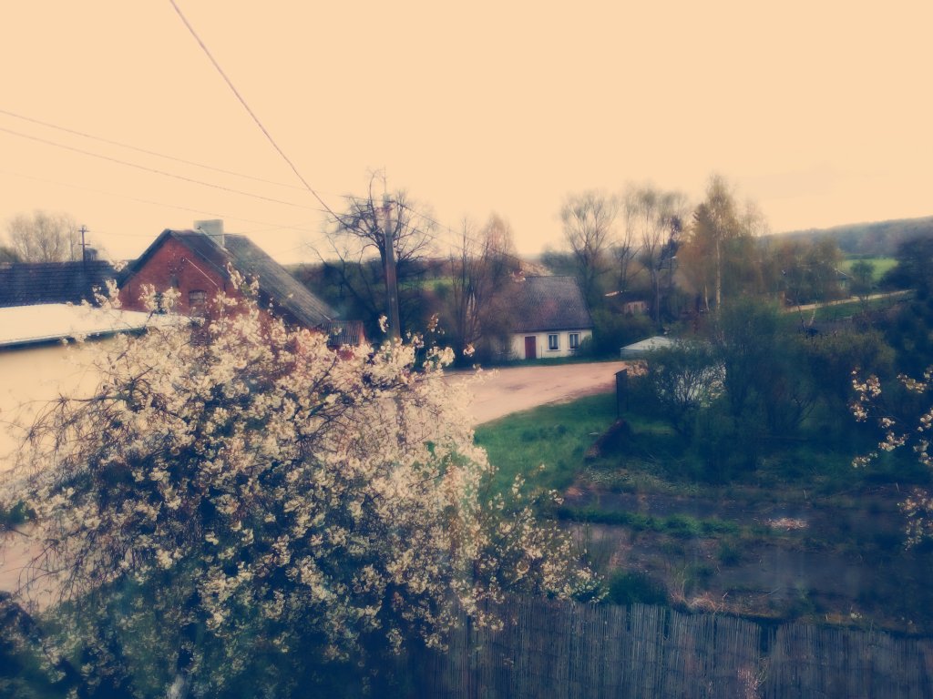 #nature 
