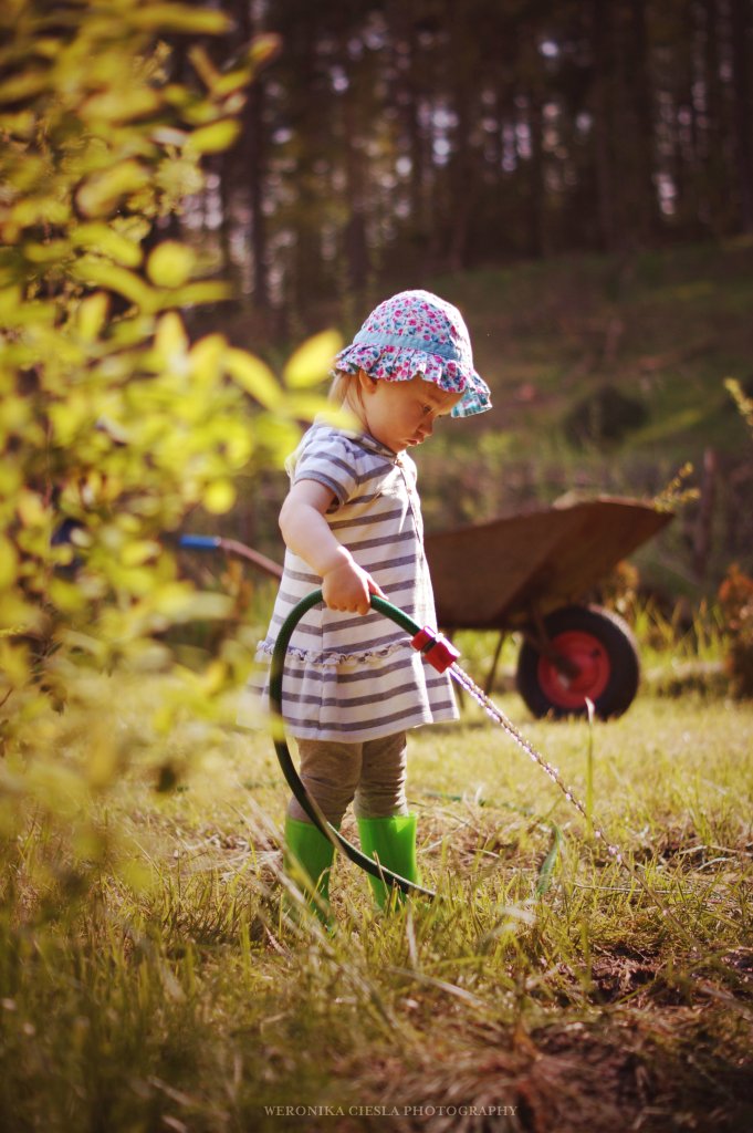 Little Gardener