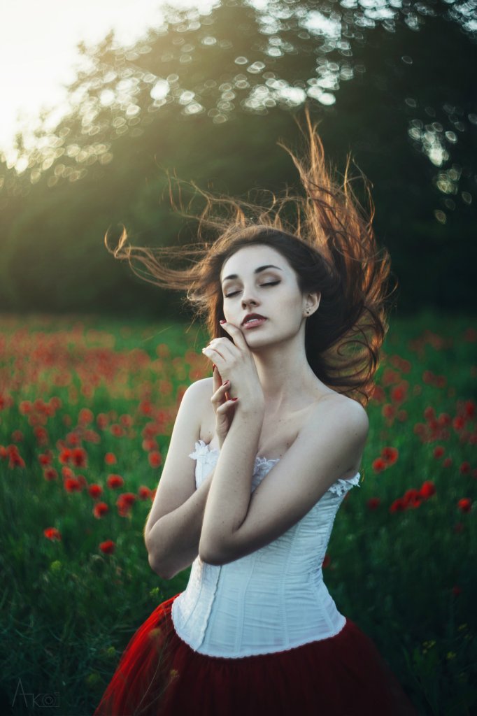 Poppies