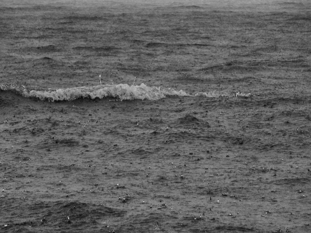 Rain