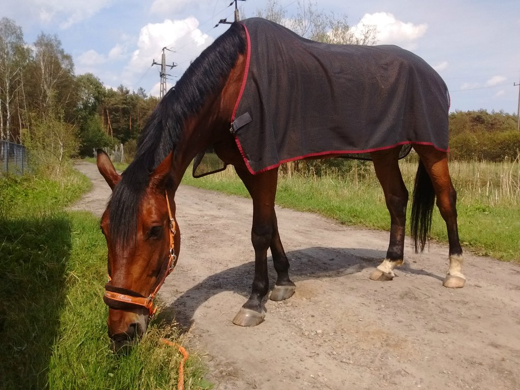 Derka przeciwowadowa na sprzeda