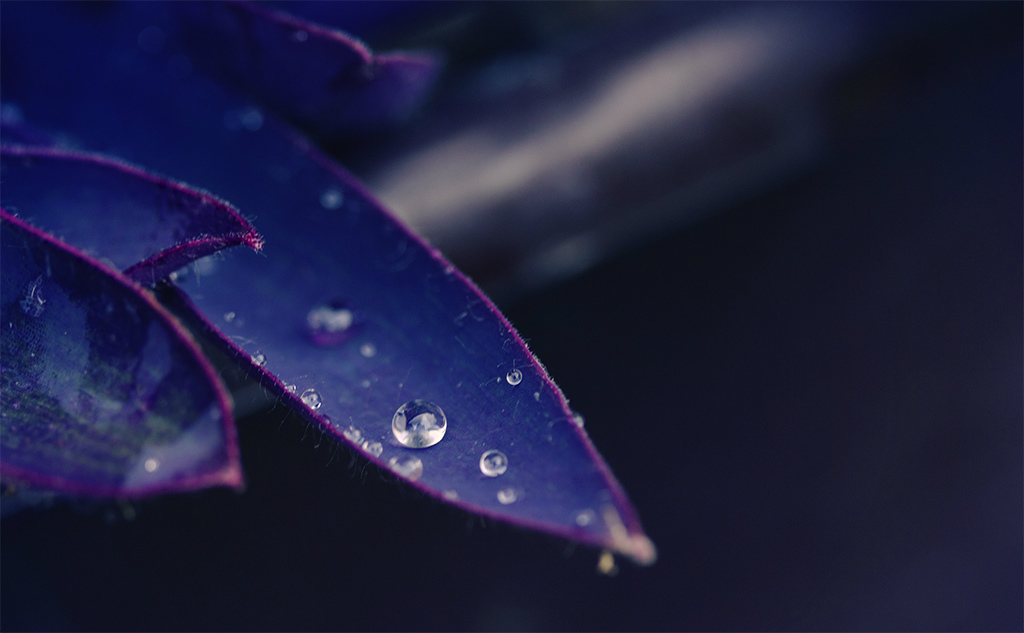 drop