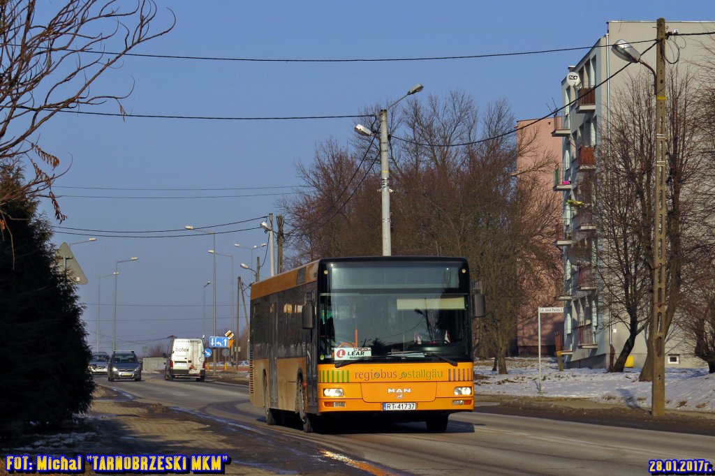 MAN N313 #042