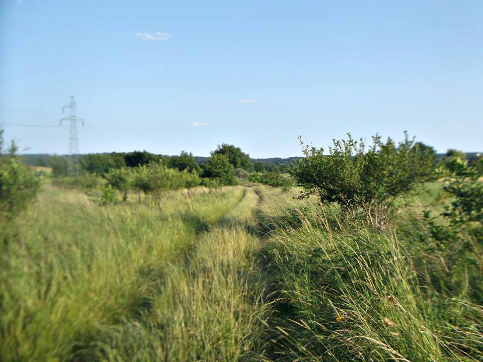 Lipiec