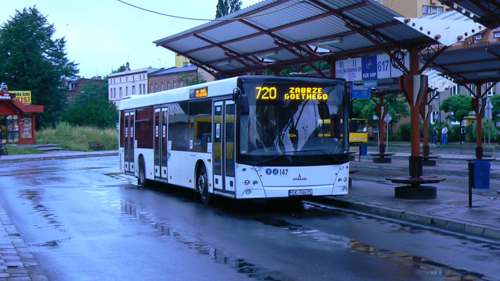 TRANS -PAWLEC 