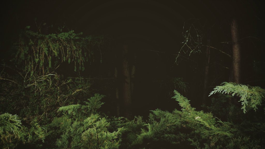 music sounds better at night