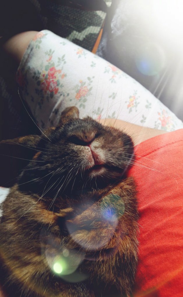 Megan.