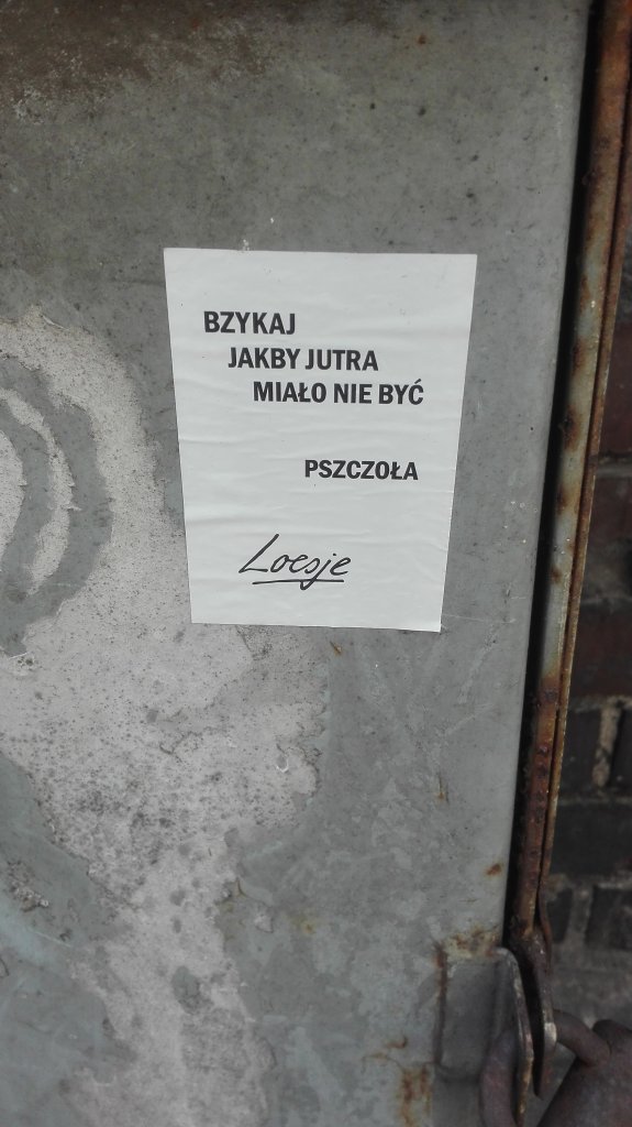 Pozna, Loesje