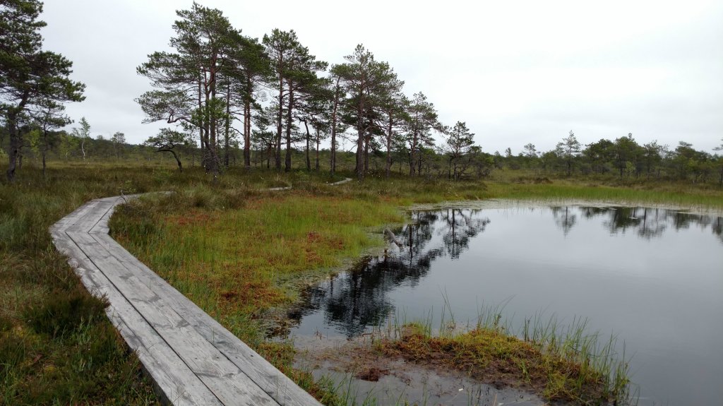 Park Soomaa, Estonia 01.07.2017