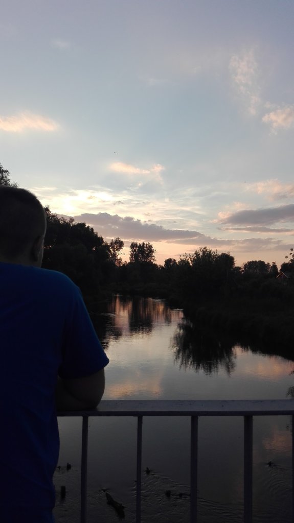 Wilica