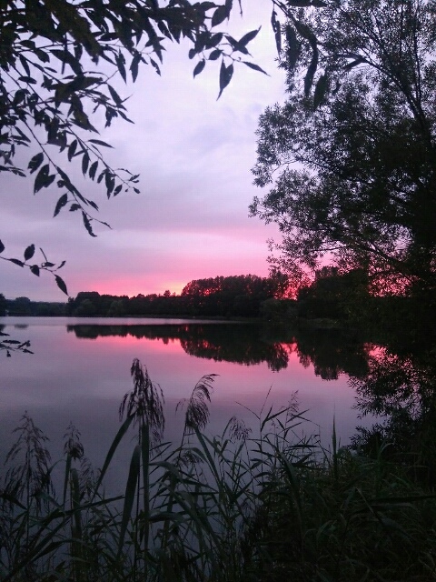 Biay