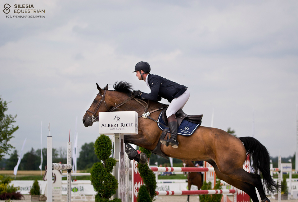 Lucky Horse