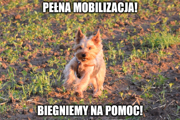 PENA MOBILIZACJA DLA GABRYSI!