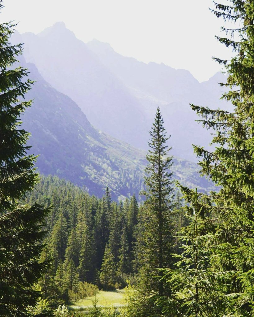 TATRY