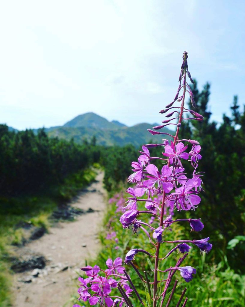 TATRY