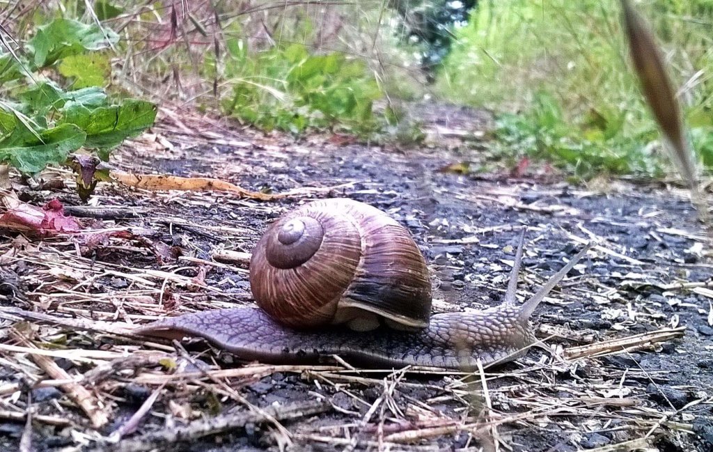 Przyroda 