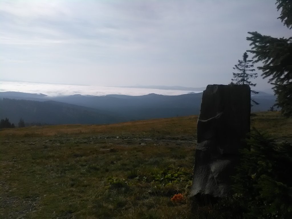beskid y.
