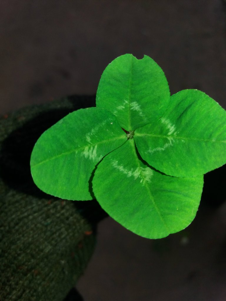 4luck