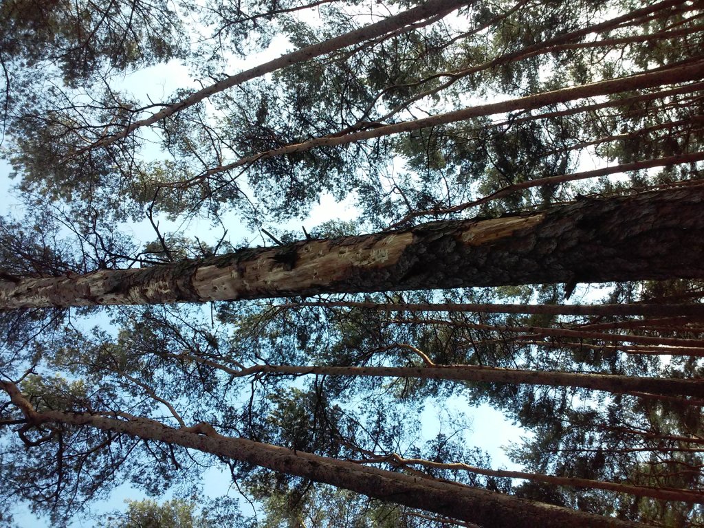 Chyba zaczynam odzyskiwa wiar.