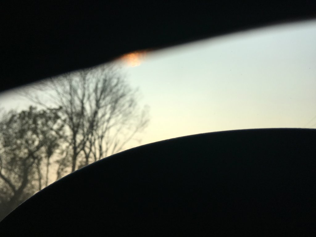 cyanide sun
