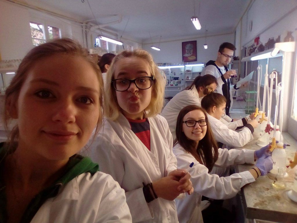 Laborki