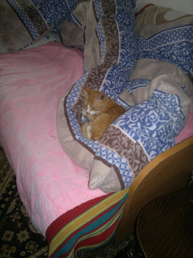 Pan i wadca :) 
