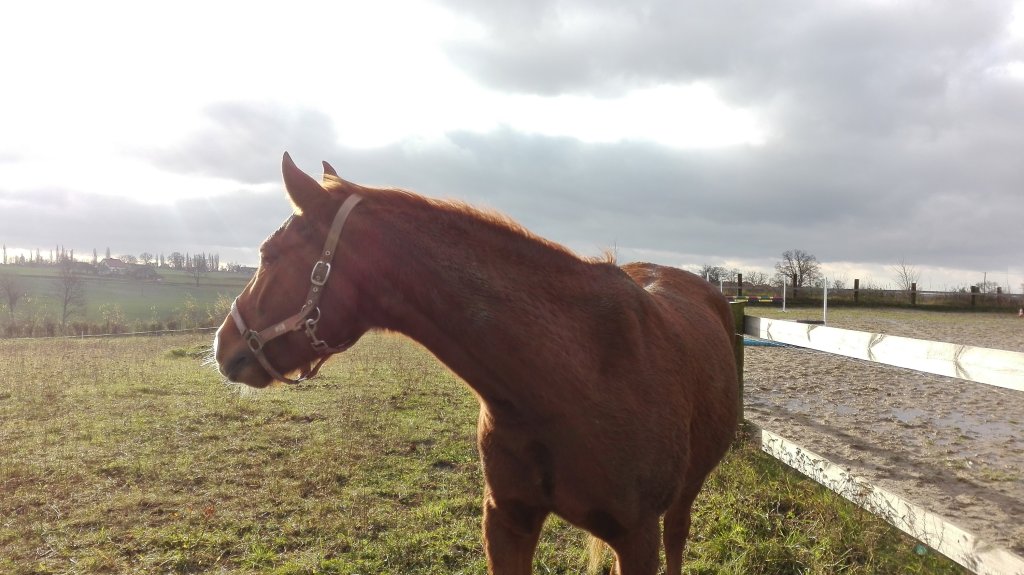 &#128052;&#128524;